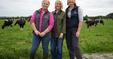 Episode 6 – Bacteria